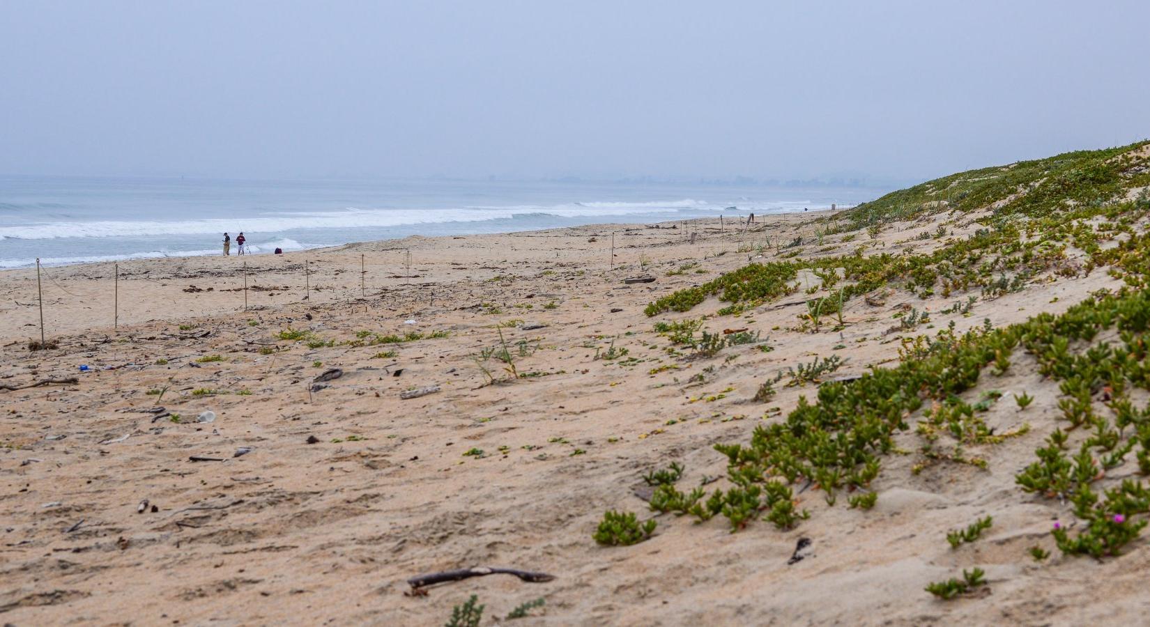 Sandee - Salinas River State Beach - Monterey Dunes Entrance