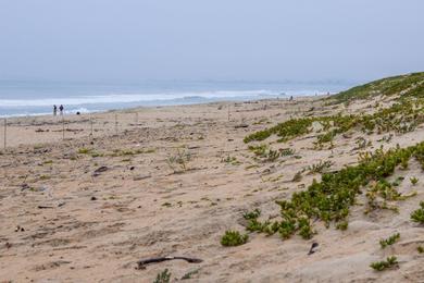 Sandee - Salinas River State Beach - Monterey Dunes Entrance