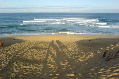 Sandee - Salinas River State Beach - Monterey Dunes Entrance