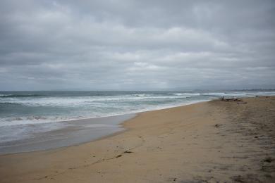 Sandee - Salinas River State Beach - Monterey Dunes Entrance