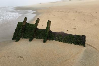 Sandee - Salinas River State Beach - Monterey Dunes Entrance