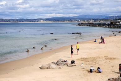 Sandee San Carlos Beach Park