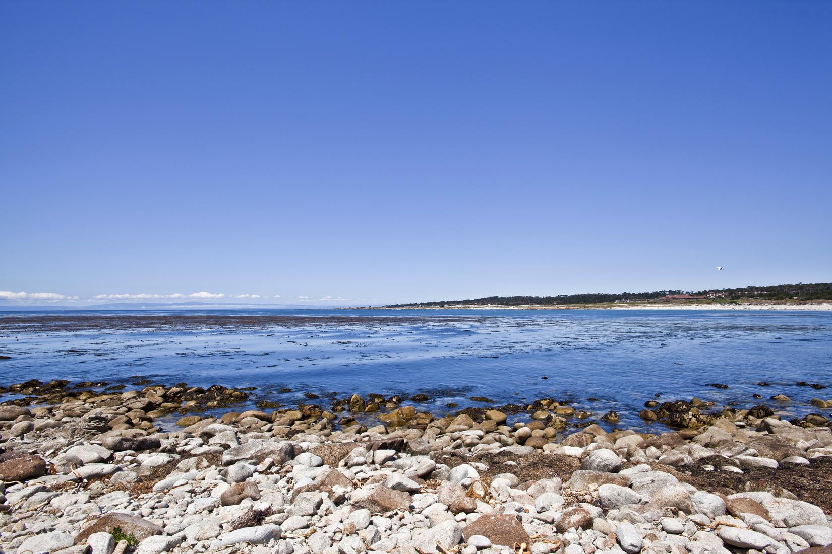 Sandee - Spanish Bay Beach