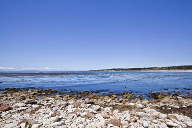 Sandee - Spanish Bay Beach