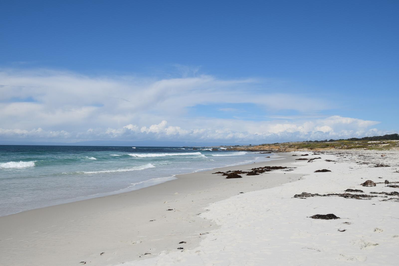 Sandee - Spanish Bay Beach