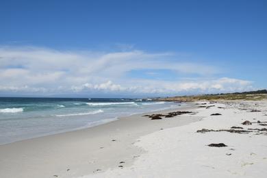 Sandee - Spanish Bay Beach