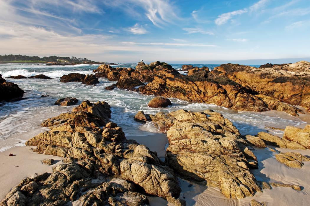 Sandee Spanish Bay Beach