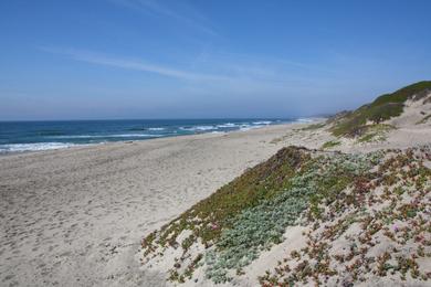 Sandee - Zmudowski State Beach