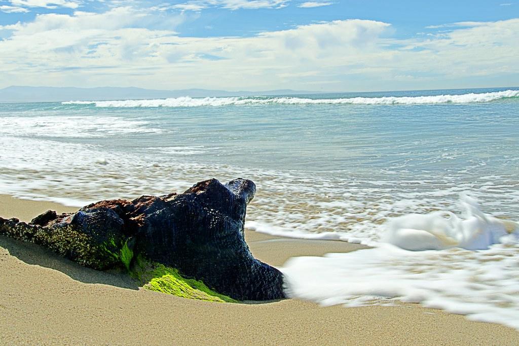 Sandee Zmudowski State Beach Photo