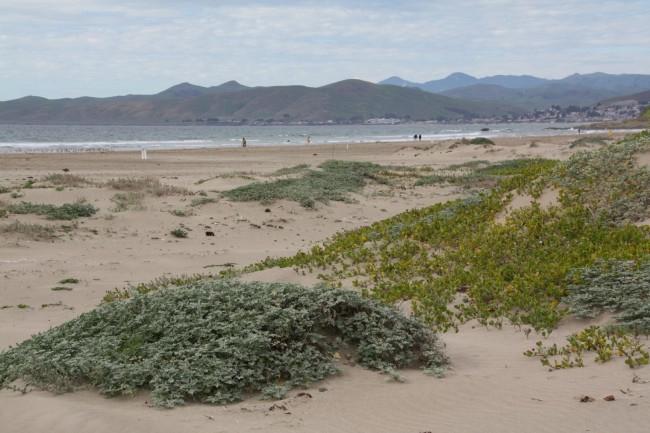 Sandee - Morro Strand State Beach - South Beach