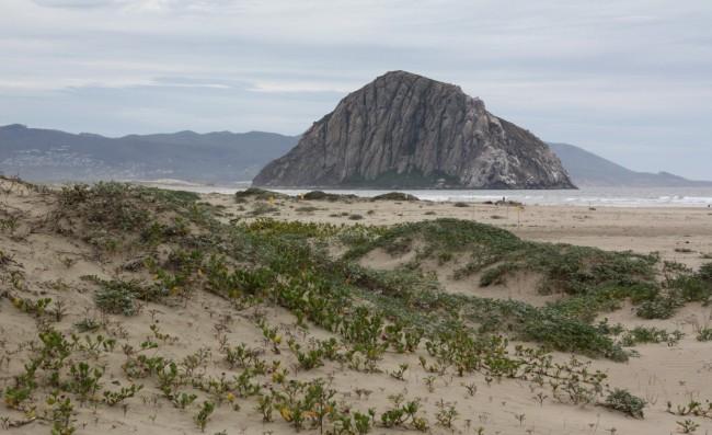 Sandee - Morro Strand State Beach - South Beach