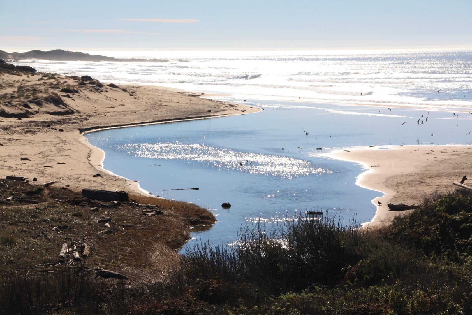 Sandee - Gazos Creek Beach