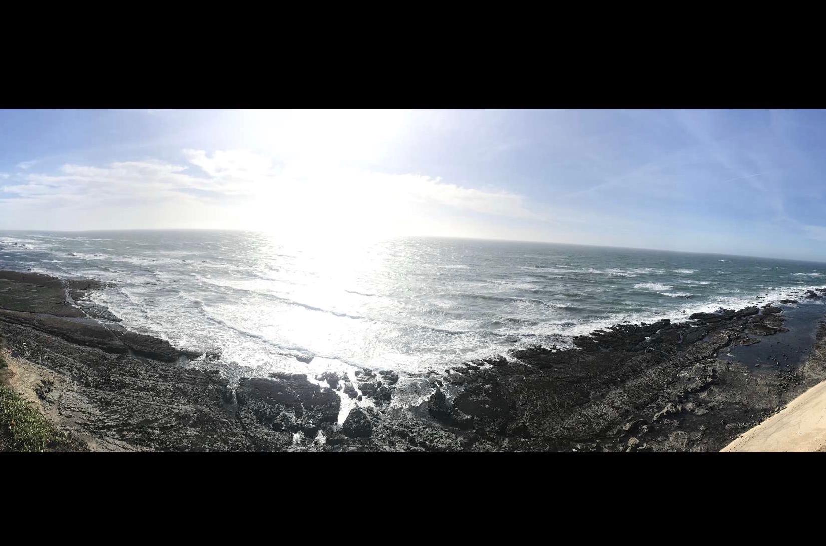 Sandee - James V. Fitzgerald Marine Reserve Beach