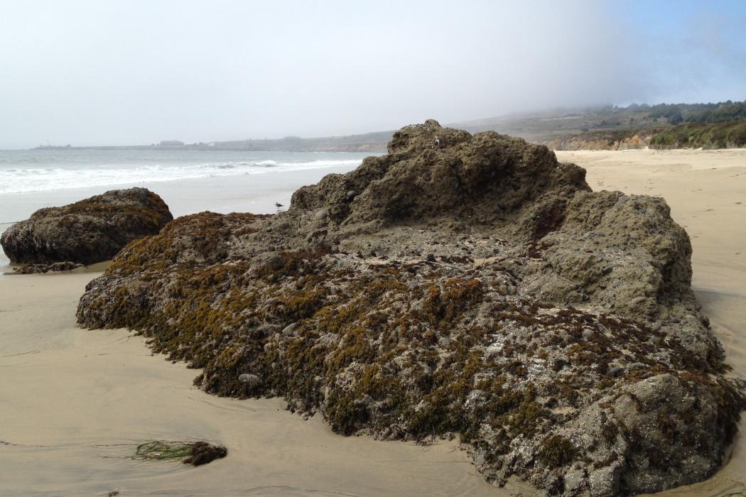 Sandee Gazos Creek Beach Photo