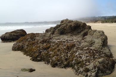 Sandee Gazos Creek Beach Photo