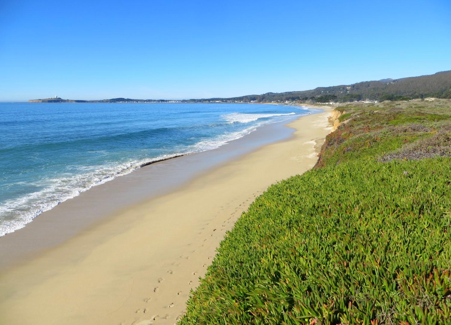 Sandee - Half Moon Bay State Beach - Dunes Beach