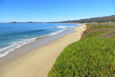 Sandee - Half Moon Bay State Beach - Dunes Beach