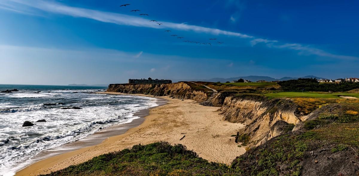 Sandee - Half Moon Bay State Beach - Dunes Beach