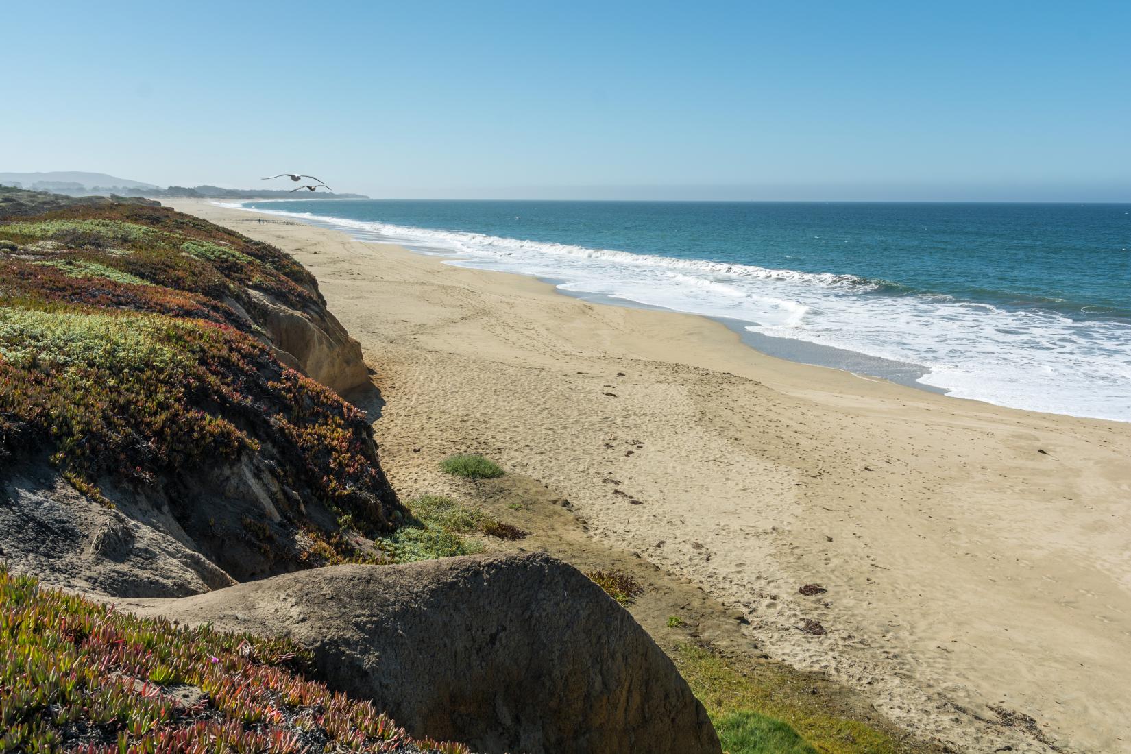 Sandee - Half Moon Bay State Beach - Dunes Beach