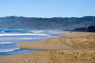 Sandee - Half Moon Bay State Beach - Dunes Beach