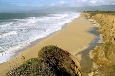 Sandee - Half Moon Bay State Beach - Dunes Beach