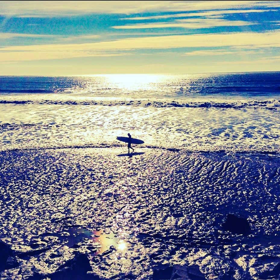 Sandee - Half Moon Bay State Beach - Francis Beach