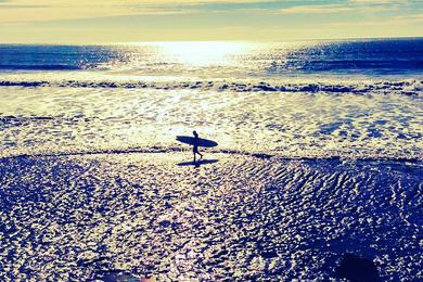 Sandee - Half Moon Bay State Beach - Francis Beach