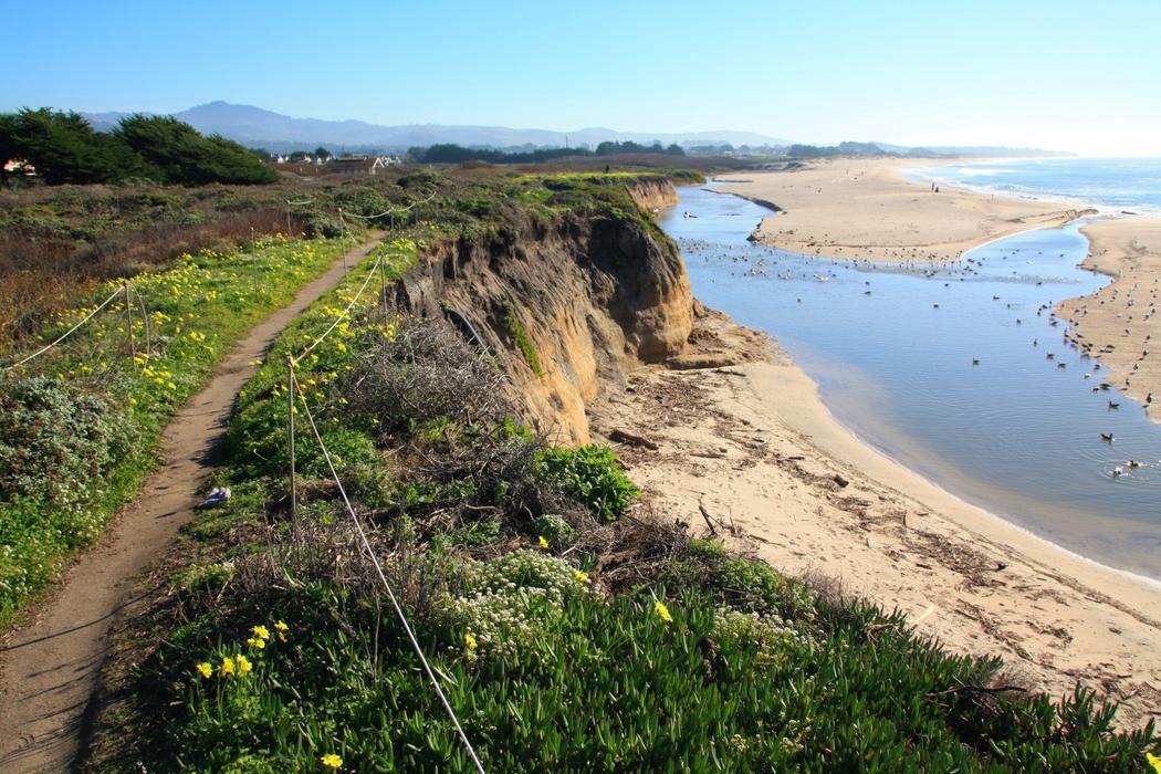 Sandee Half Moon Bay State Beach - Elmar Beach