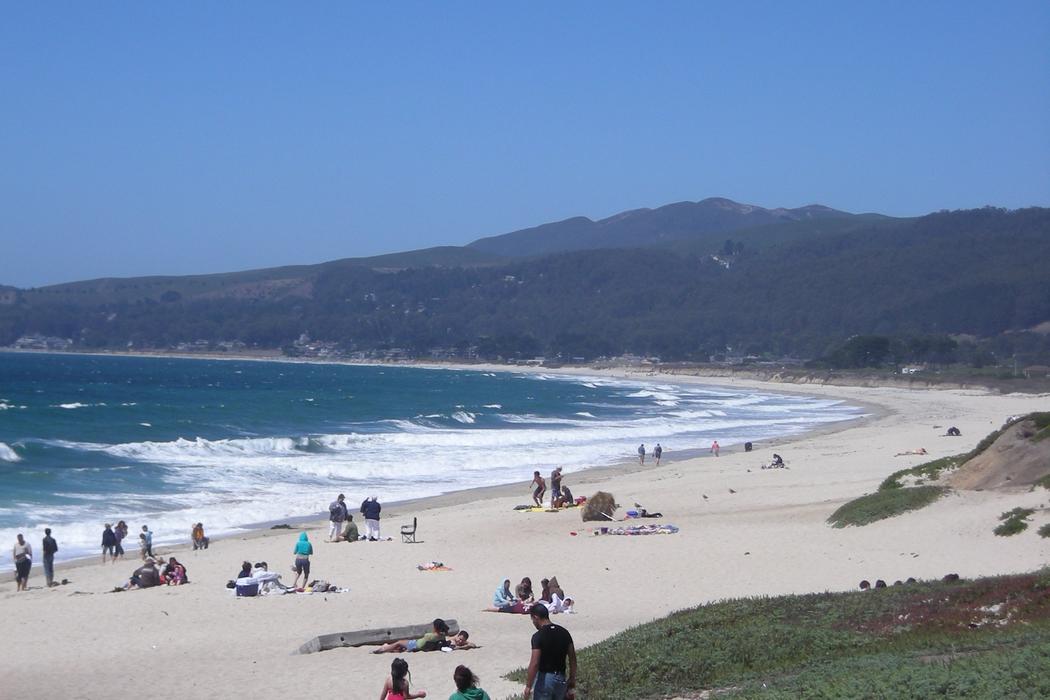 Sandee Half Moon Bay State Beach - Francis Beach Photo