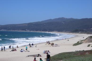 Sandee Half Moon Bay State Beach - Francis Beach