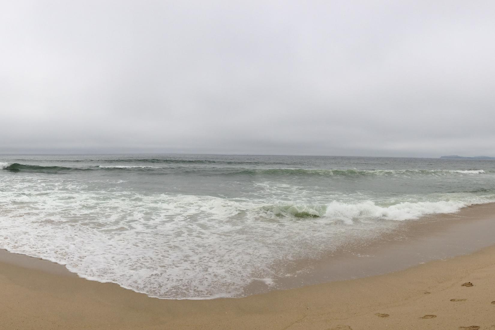 Sandee - Half Moon Bay State Beach - Francis Beach