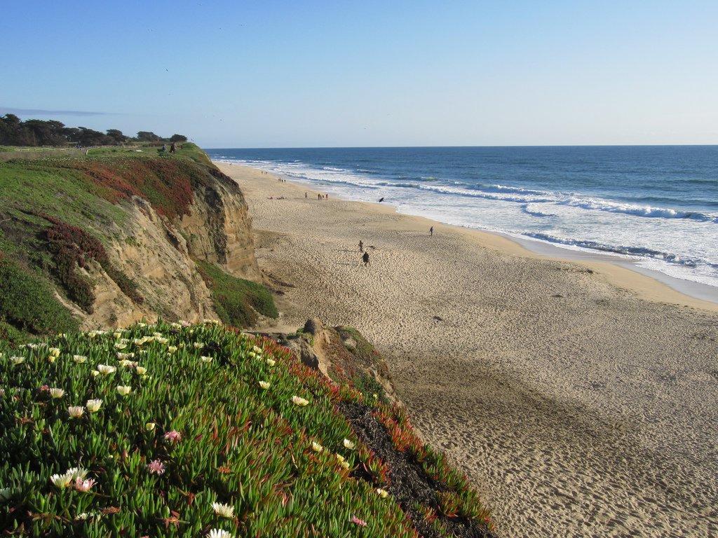Sandee - HomePage / Half Moon Bay