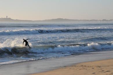 Sandee Half Moon Bay State Beach - Venice Beach