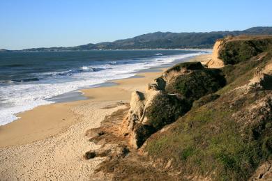 Sandee - Half Moon Bay State Beach - Dunes Beach