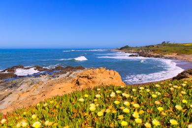 Sandee - Pebble Beach