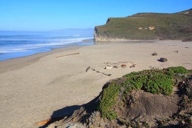 Sandee - Pescadero State Beach - North Beach