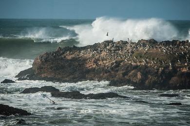 Sandee - Pescadero State Beach - North Beach