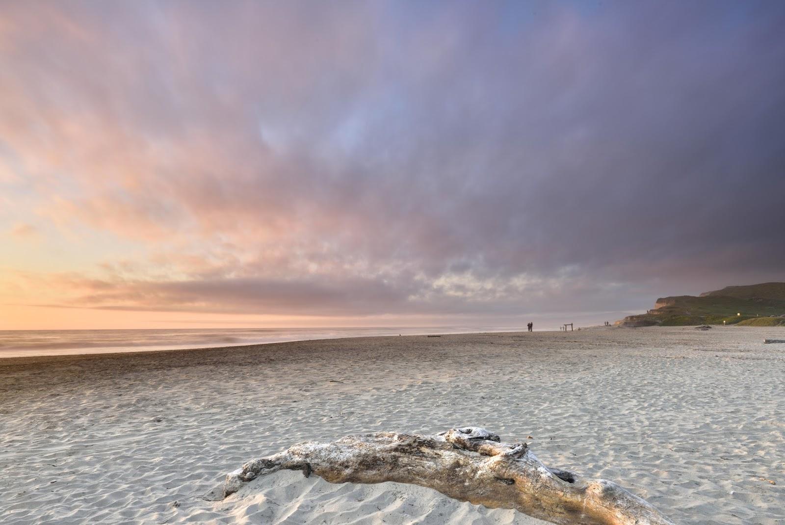 Sandee - Pomponio State Beach