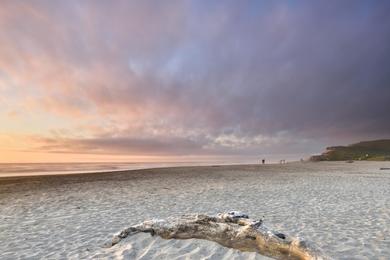 Sandee - Pomponio State Beach