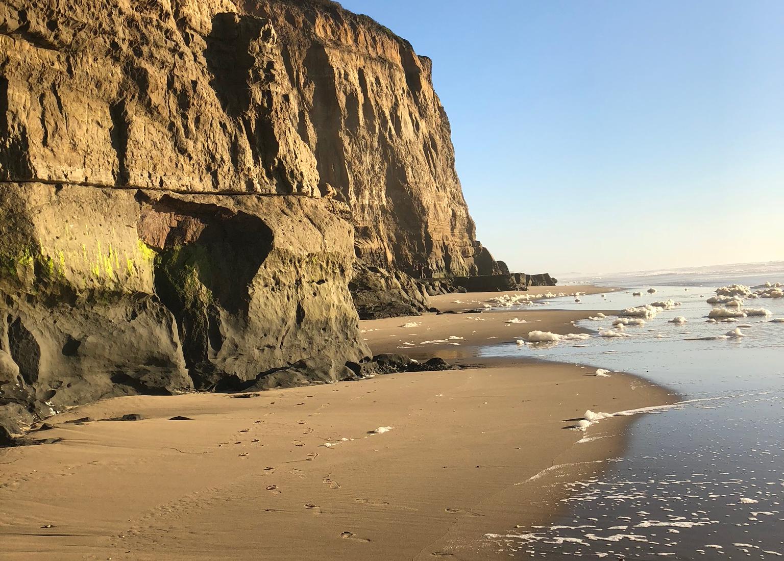 Sandee - Pomponio State Beach