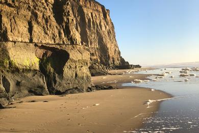 Sandee - Pomponio State Beach