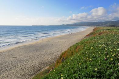 Sandee Poplar Beach Photo