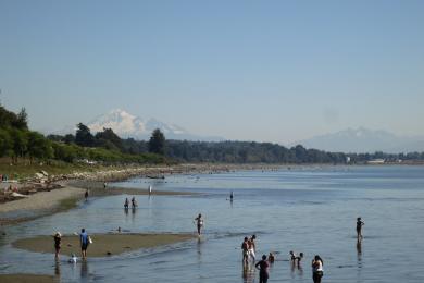 Sandee White Rock Beach