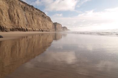 Sandee - Ross Cove Beach