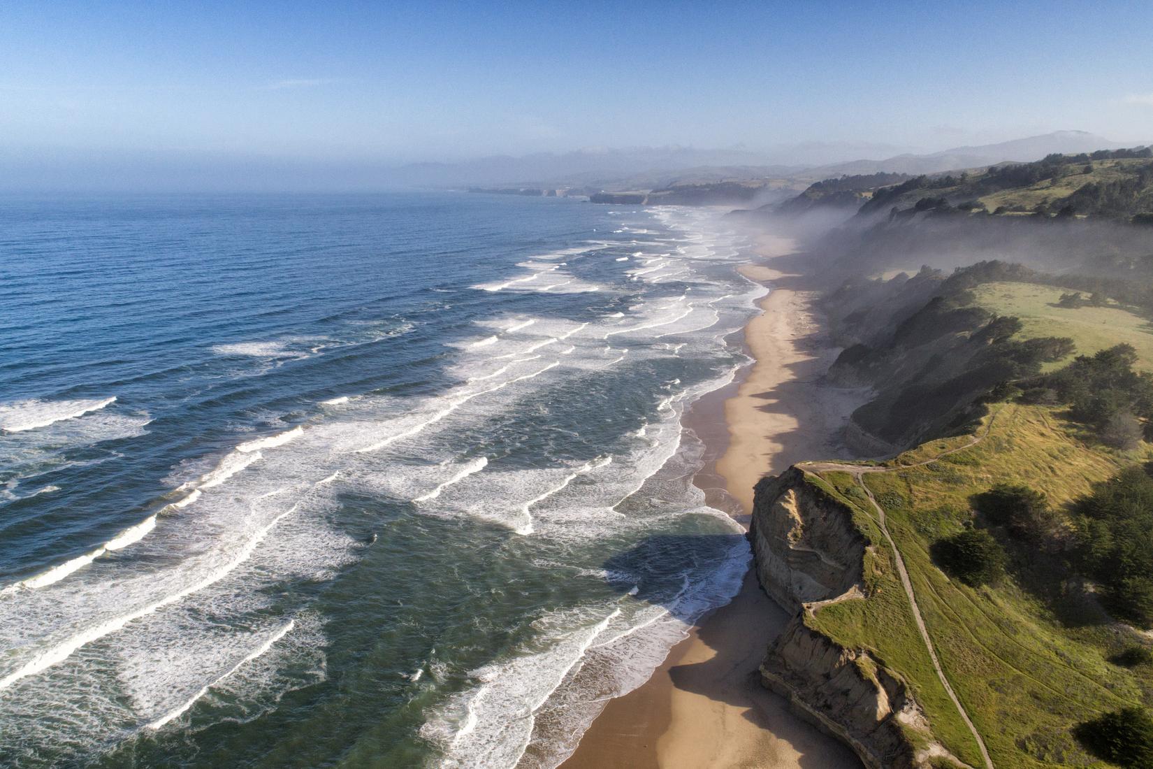 Sandee - San Gregorio State Beach