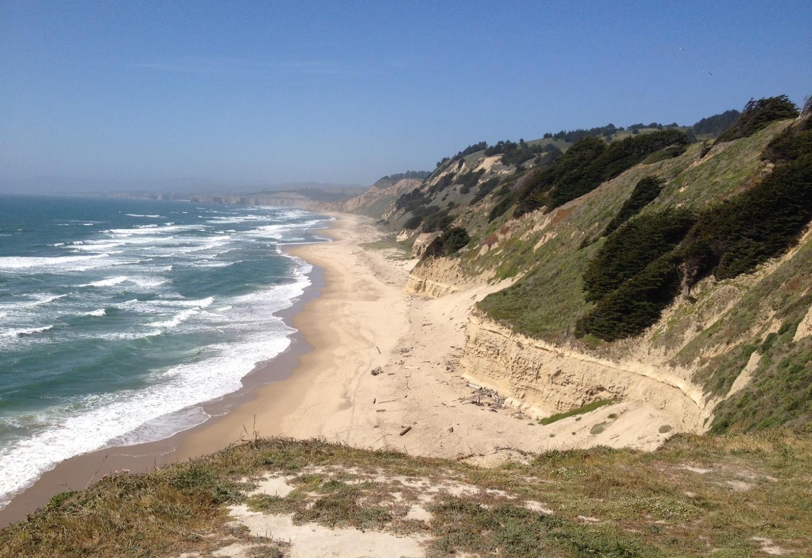 Sandee - San Gregorio State Beach