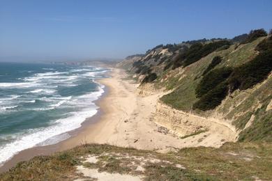 Sandee - San Gregorio State Beach