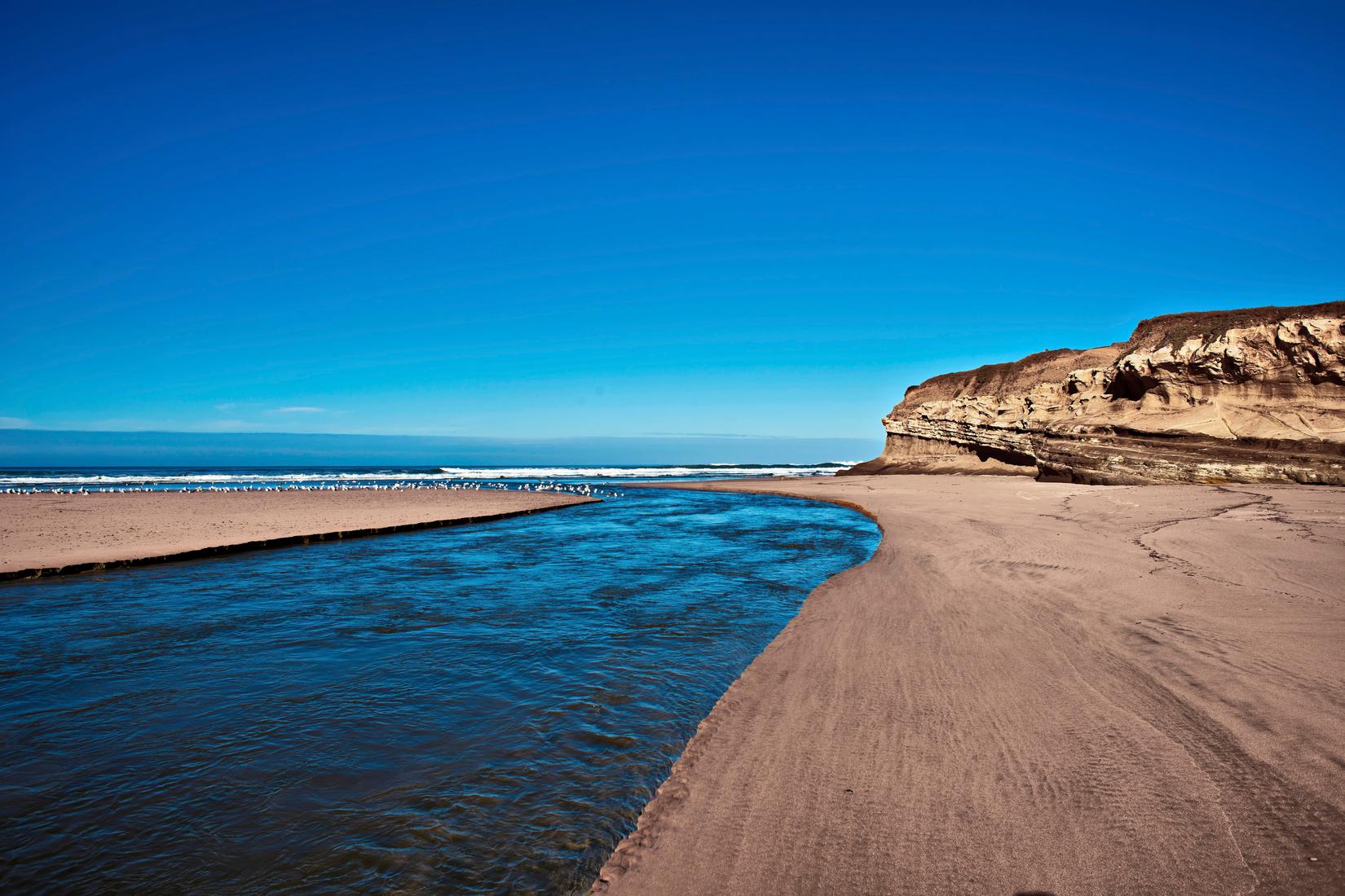 Sandee - San Gregorio State Beach