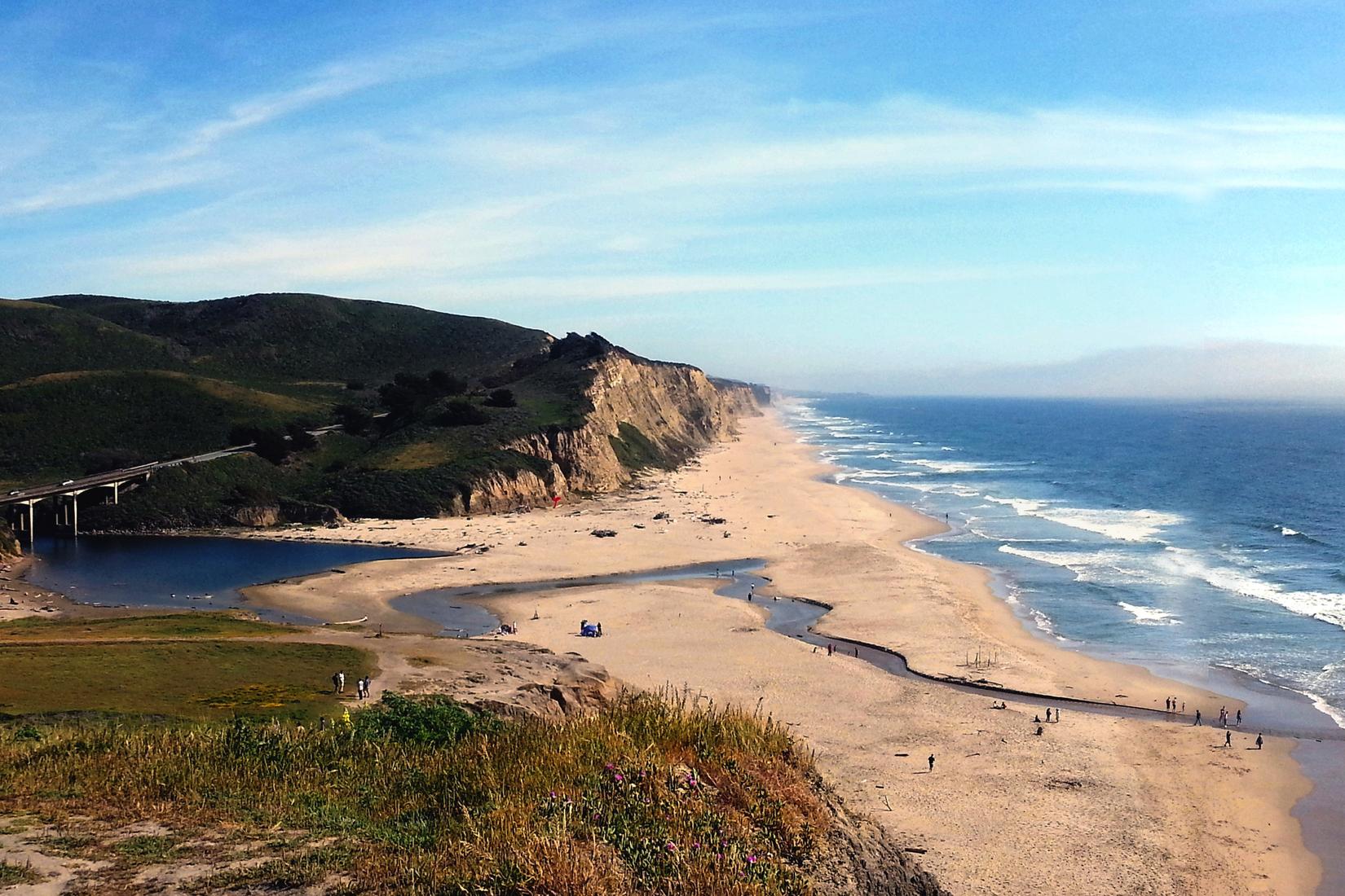 Sandee - San Gregorio State Beach