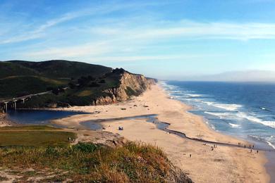 Sandee - San Gregorio State Beach